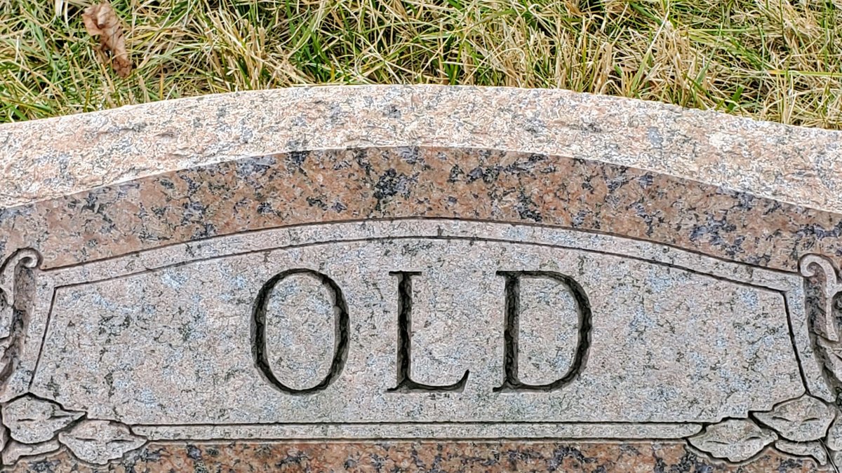 How Old Is Makima in Gintama? Her Age Remains a Mystery